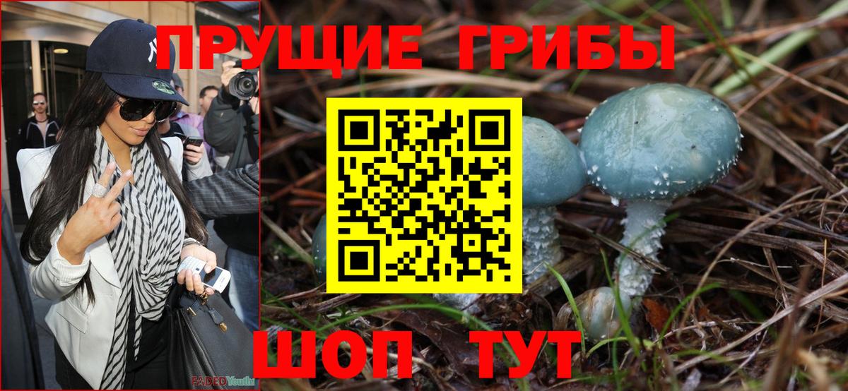 Псилоцибиновые грибы прущие грибы  Вход с VPN  Трёхгорный 