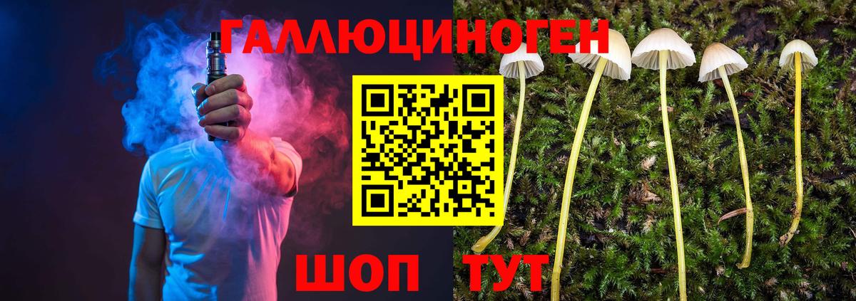Псилоцибиновые грибы ЛСД Трёхгорный